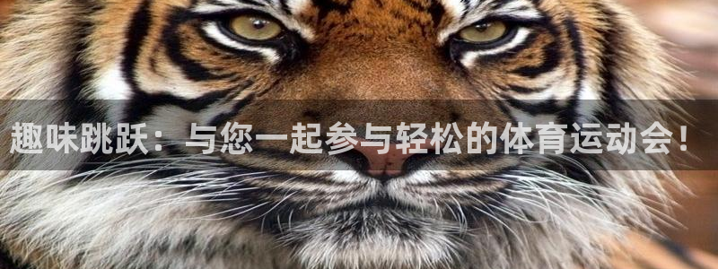 球迷体育软件：趣味跳跃：与您一起参与轻松的体育运动会！