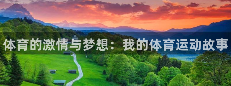 球迷体育足球篮球直播