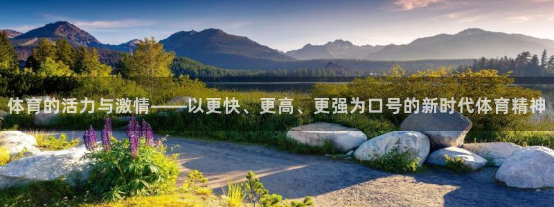 球迷体育怎么看回放