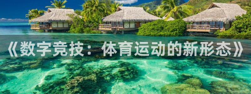 球迷体育最新版下载：《数字竞技：体育运动的新形态》