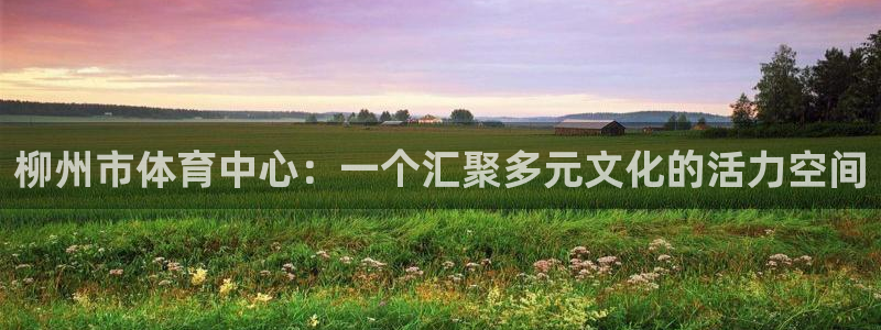 球迷体育手app：柳州市体育中心：一个汇聚多元文化的活力空间