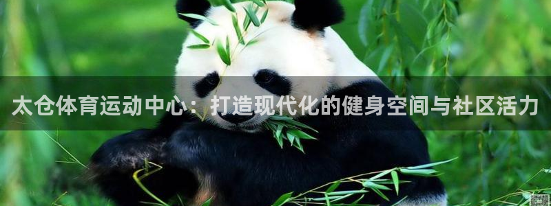 球迷体育直播在线观看
