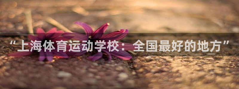 球迷体育怎么看回放