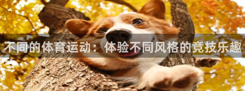 球迷体育是正规平台吗：不同的体育运动：体验不同风格的竞技乐趣
